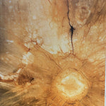Vallejo Matt Wall Panel 1000mm x 2.4m x 10mm