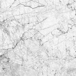 Vicenza White Wall Panel 1000mm x 2.4m x 10mm
