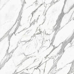 Carrera Marble White Grey Veined Wall Panel 250mm x 2.6m x 8mm (Pack of 4)