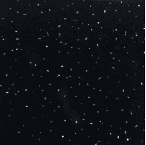 8mm Black Sparkle (Pack Of 4) Wall Panel Cladding