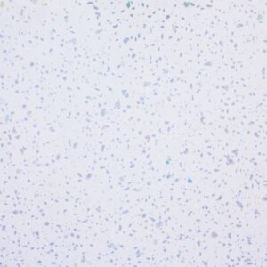 White Sparkle Wall Panels
